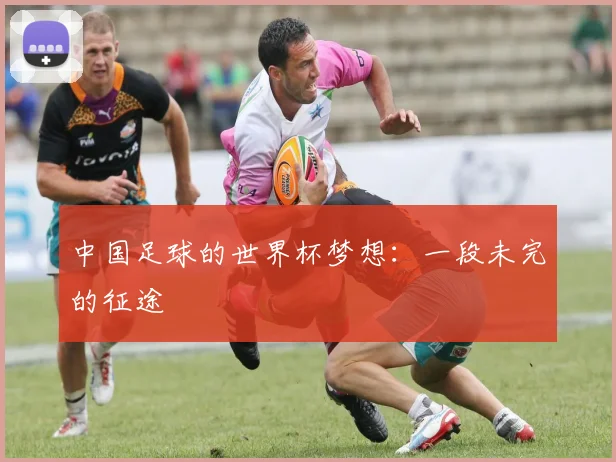 中国足球的世界杯梦想:一段未完的征途