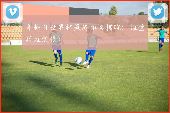 年韩日世界杯最终排名揭晓：谁登顶谁饮恨？