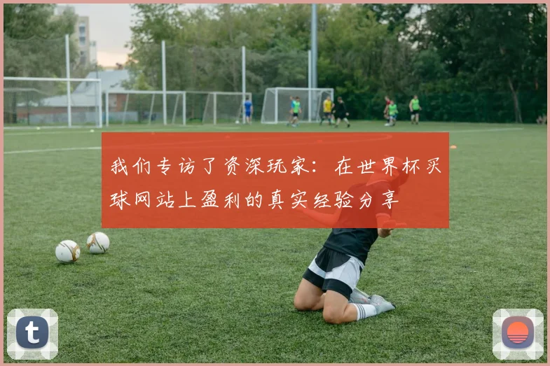 我们专访了资深玩家:在世界杯买球网站上盈利的真实经验分享