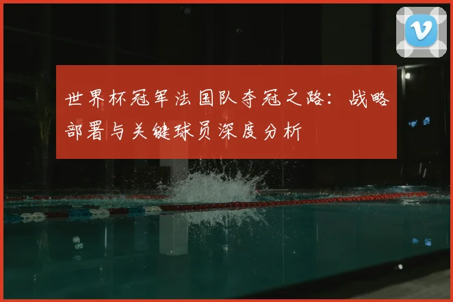 世界杯冠军法国队夺冠之路：战略部署与关键球员深度分析